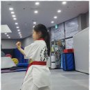 무빙 익스트림 태권도장 | 성신여대태권도 다양한 수업과 체계적인 지도, 무빙익스트림태권도 후기