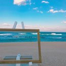 바다야놀자 이미지