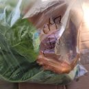 한돌농장 이미지