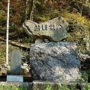 광대곡 민박 Daum카페