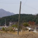 방일조경 이미지