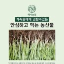법인농장디자인 이미지