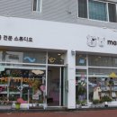 마펫다이어리