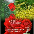 덕분이네