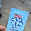 2025년 제5회 고성 저도 대문어축제, 대진항 다녀왔어요
