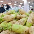 단장마트 이미지