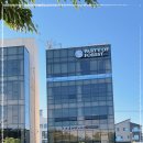 비비퍼피 강아지분양 일산점 이미지