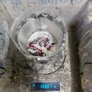 하남자동차공업사 | 하남시 덕풍동 수입차수리,혼다 어코드 뒷범퍼 도장수리 후기~