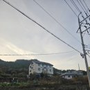 동피랑해물명가