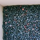 해바라기재능유치원 이미지