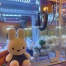 핑키펑키 범계점 이미지