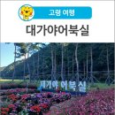 대가 신 물회 이미지