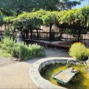 화성(서울) | [서울근교온천 -화성율암온천]뚜벅이 후기