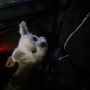 지에스25군포삼환점 이미지