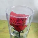 예가꽃예술원