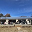 스타벅스기장임랑점 이미지