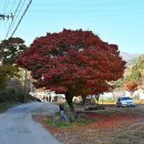 회곡1리(안골) 경로당 이미지