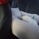 해뜨는댕 이미지