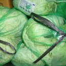 영광센터-7호 이미지