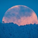 SKY KIDS POOL 이미지