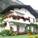 편안한집 이미지