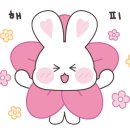 마인드휘트니스인제점