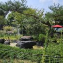 늘푸른정원 이미지