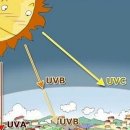 자외선의 종류와 피부에 미치는 영향 이미지