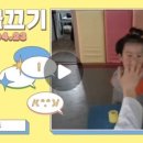 백산 태권도 이미지