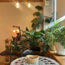 힐링투유안마원 이미지