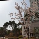 도청로 이미지