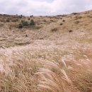 신천리슈퍼 이미지