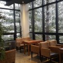 휴스크린골프 이미지