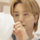 아네모네 이미지