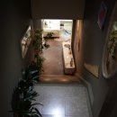 나무와풍경 이미지