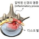 경주사 이미지
