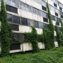 시영아파트 이미지