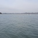 고고펜션 이미지