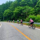 해다람 네이버블로그