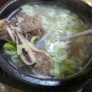 안의원조갈비집 Daum카페