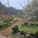 수서동 기와요지 이미지