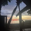 팜비치호스텔 이미지