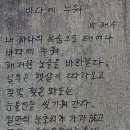 팔공산올레길 1코스 이미지