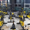 엑서스 휘트니스 이미지