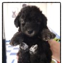 멍앤멍스 이미지