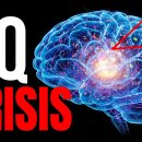 평균 IQ는 왜 떨어지고 있는가: ‘브레인 포그(Brain Fog)’의 원인 이미지