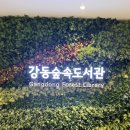초안산숲속작은도서관 | 강동숲속도서관 방문 후기 | 서울 속 한적한 숲뷰 도서관에서 보낸 여유로운 하루