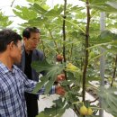 행복한마실농장 이미지