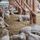 수산목장 이미지