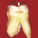 당산수치과의원 이미지